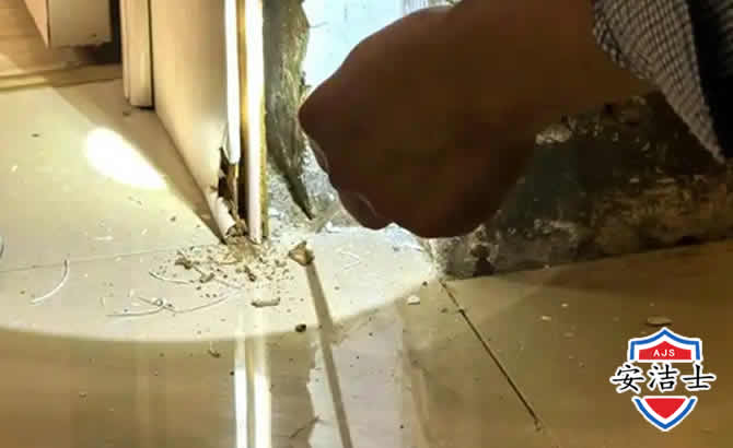 儋州房屋建筑防治白蚁