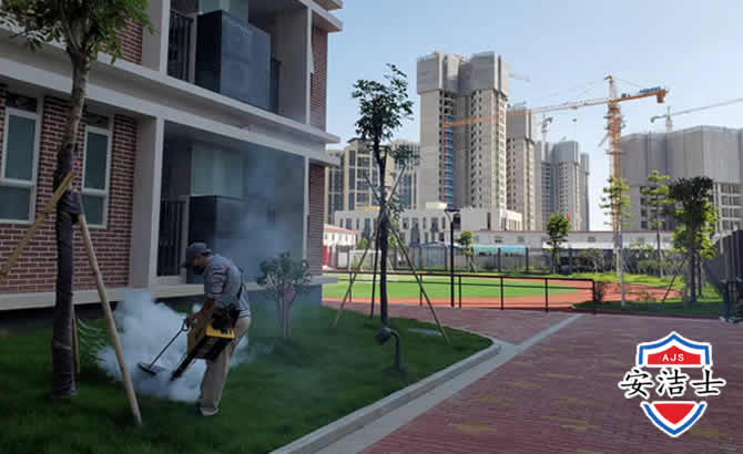 儋州工厂工地除白蚁