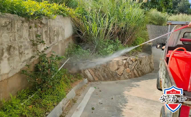儋州道路堤坝白蚁防治