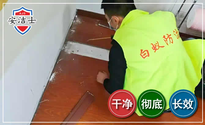 儋州除四害现场