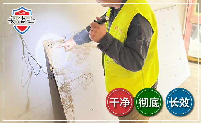 儋州除白蚁现场