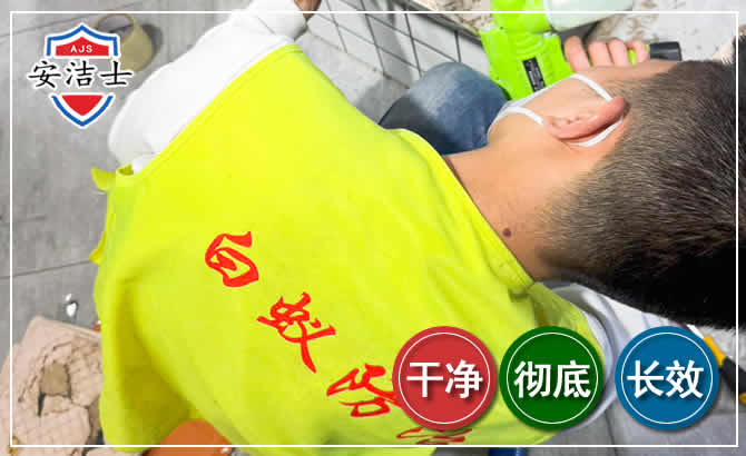 儋州白蚁根治现场